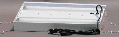 Double Fluorescent Light