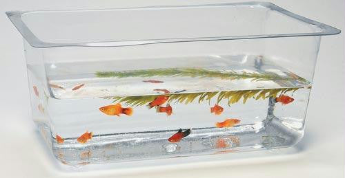 1 1-2 gal. Flex-Tank only (11" x 7" x 5")