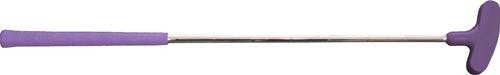 29" Putter - Purple