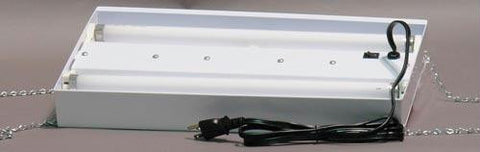 Double Fluorescent Light