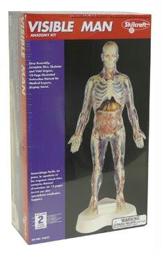The Visible Man Kit