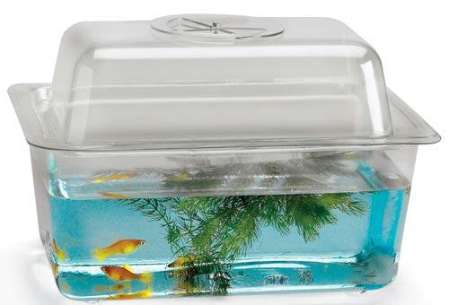 1 1-2 gal. Domed Cover w- Dial Ventilator (10 1-2" x 7" x 3 1-4")