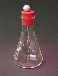 Flask Form Electroscope
