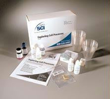 Exploring Cell Processes (kit for 40 students)