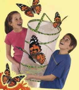 Butterfly Pavilion