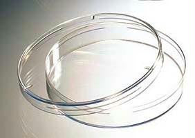 Petri Dishes - Pack of 20