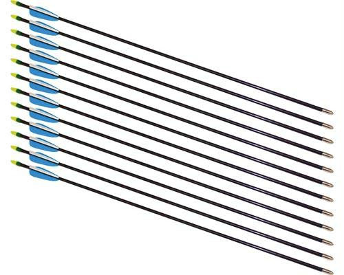 30" Fiberglass Arrows - 12 Arrows
