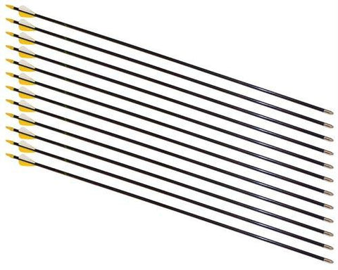 28" Safety Glass Arrows