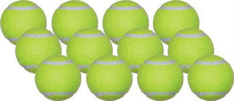 Economy Practice Tennis Balls