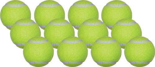 Economy Practice Tennis Balls