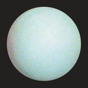 Practice Lacrosse Ball