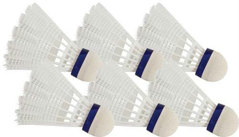 Windsor School-Recreation Shuttlecock