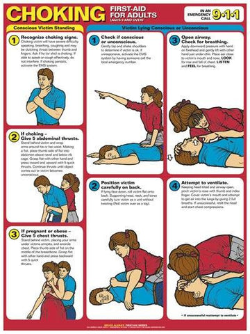 First Aid Poster - Choking First Aid (Adults)